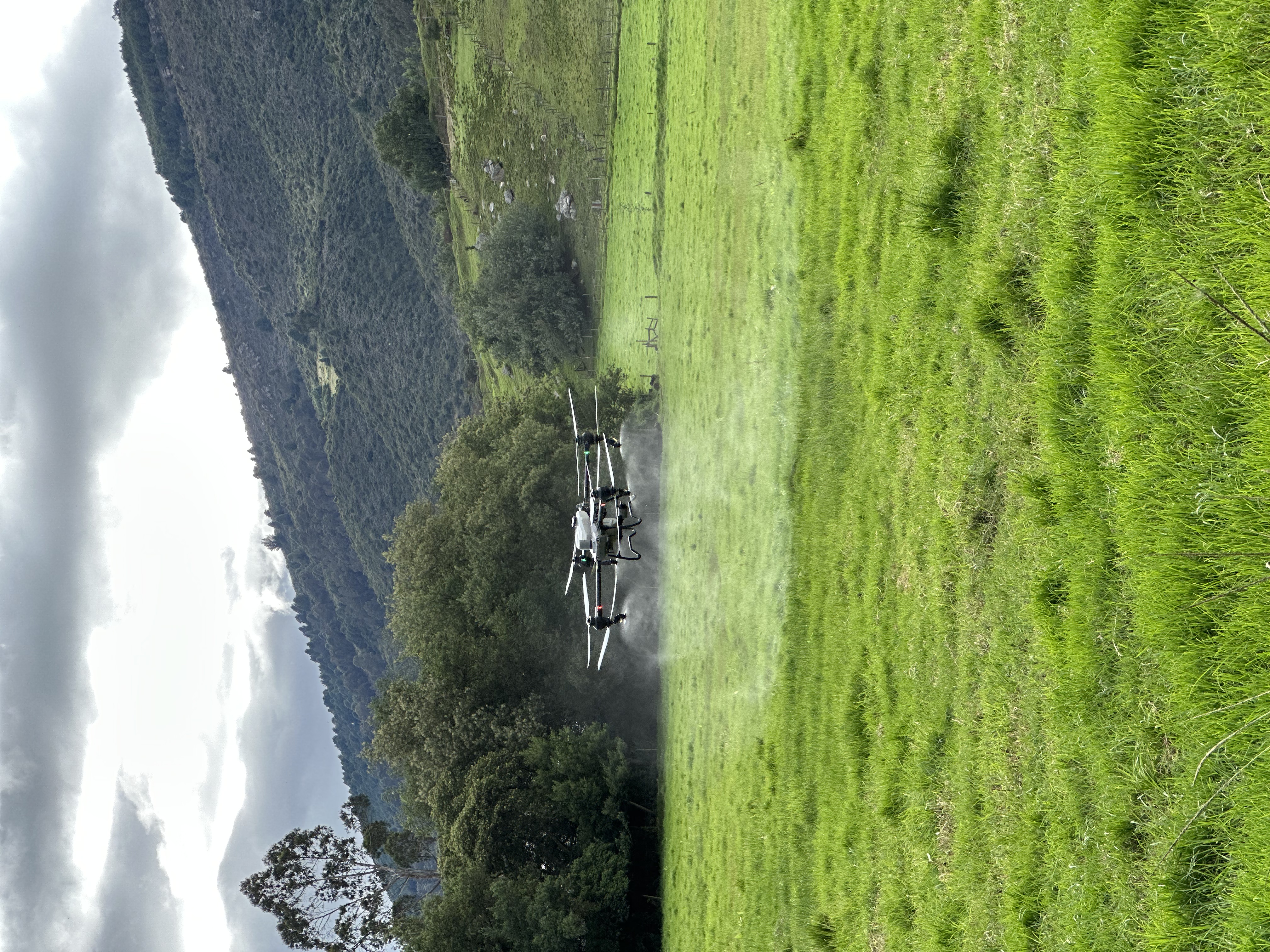 Drone DJI AGRAS fumigando cultivos